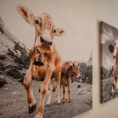 Haus Lukic קפרון